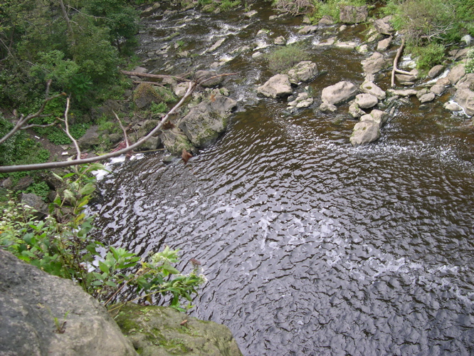 DSCN0005.JPG