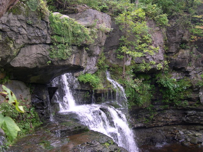 DSCN0052.JPG