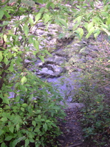 DSCN0003.JPG