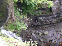 DSCN0018.JPG