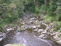 DSCN0020.JPG