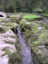 DSCN0021.JPG