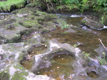 DSCN0022.JPG