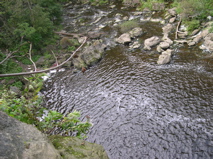 DSCN0005.JPG