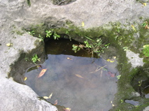 DSCN0023.JPG