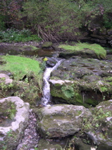 DSCN0025.JPG