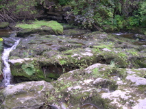 DSCN0026.JPG