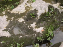 DSCN0027.JPG