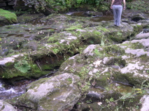 DSCN0029.JPG