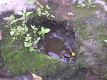 DSCN0031.JPG