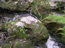 DSCN0032.JPG