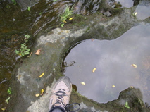 DSCN0033.JPG