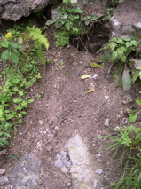 DSCN0038.JPG