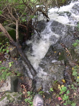 DSCN0042.JPG