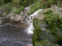 DSCN0007.JPG