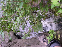 DSCN0045.JPG