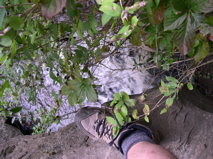 DSCN0046.JPG