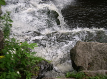 DSCN0048.JPG