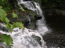 DSCN0050.JPG
