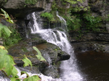 DSCN0051.JPG