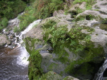 DSCN0008.JPG