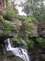DSCN0057.JPG