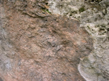 DSCN0058.JPG