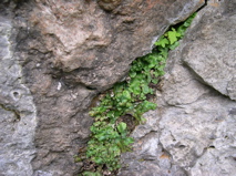 DSCN0060.JPG