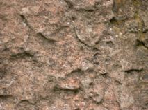 DSCN0064.JPG