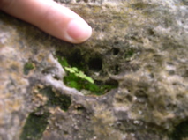 DSCN0068.JPG