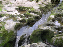 DSCN0010.JPG