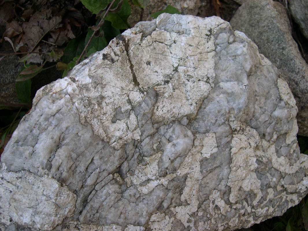 DSCN0097.JPG
