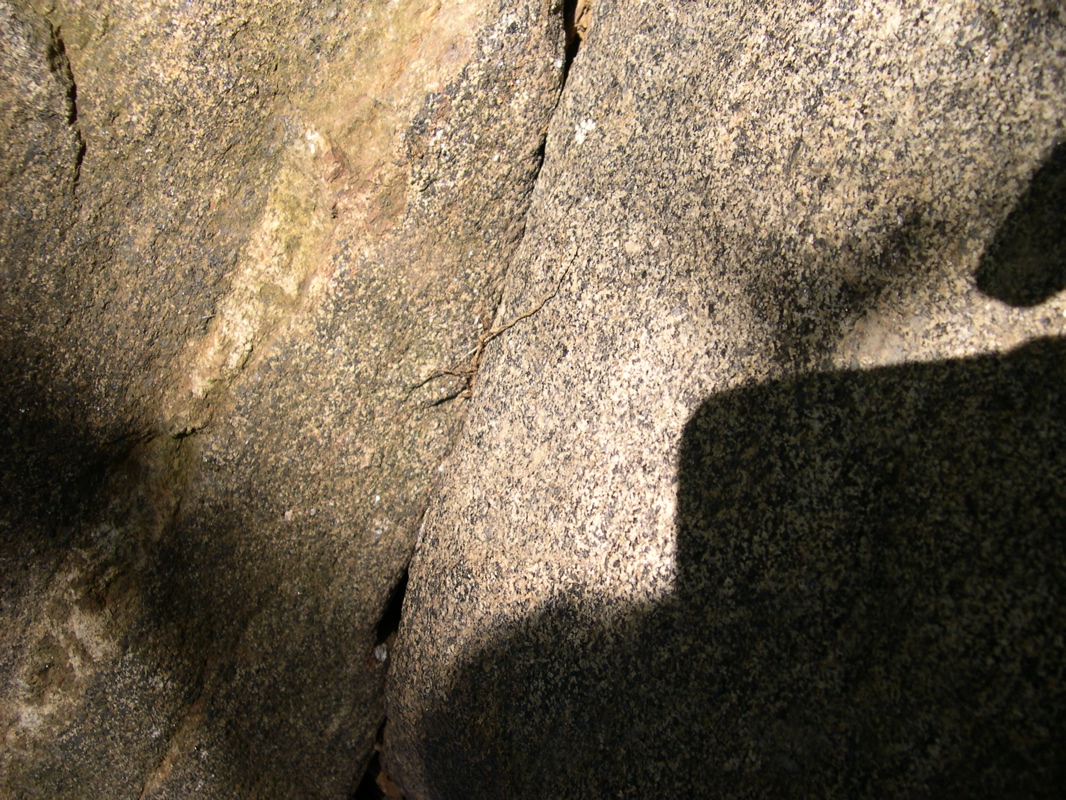 DSCN0025.JPG