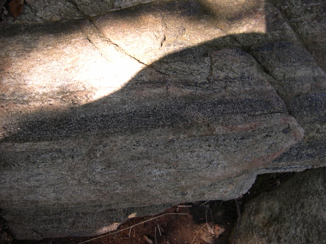 DSCN0028.JPG