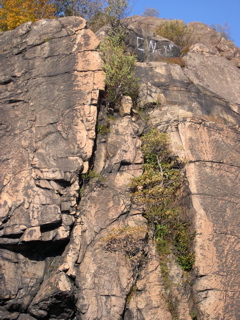DSCN0070.JPG