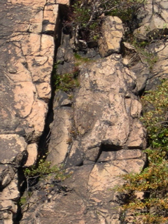 DSCN0071.JPG