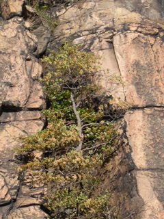 DSCN0072.JPG