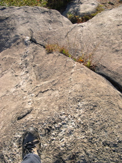 DSCN0073.JPG