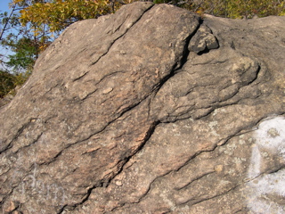 DSCN0081.JPG