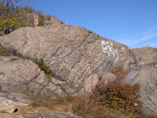DSCN0082.JPG