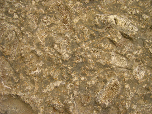 DSCN0010.JPG