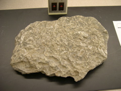 DSCN0009.JPG