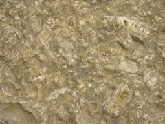 DSCN0010.JPG