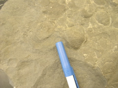 DSCN0013.JPG