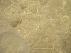 DSCN0015.JPG