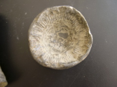 DSCN0017.JPG