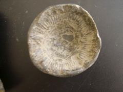 DSCN0018.JPG