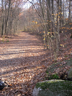 TrailtoNeveleFalls.JPG