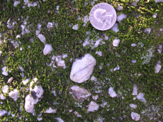 DSCN0026.JPG