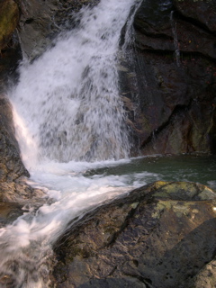 DSCN0037.JPG